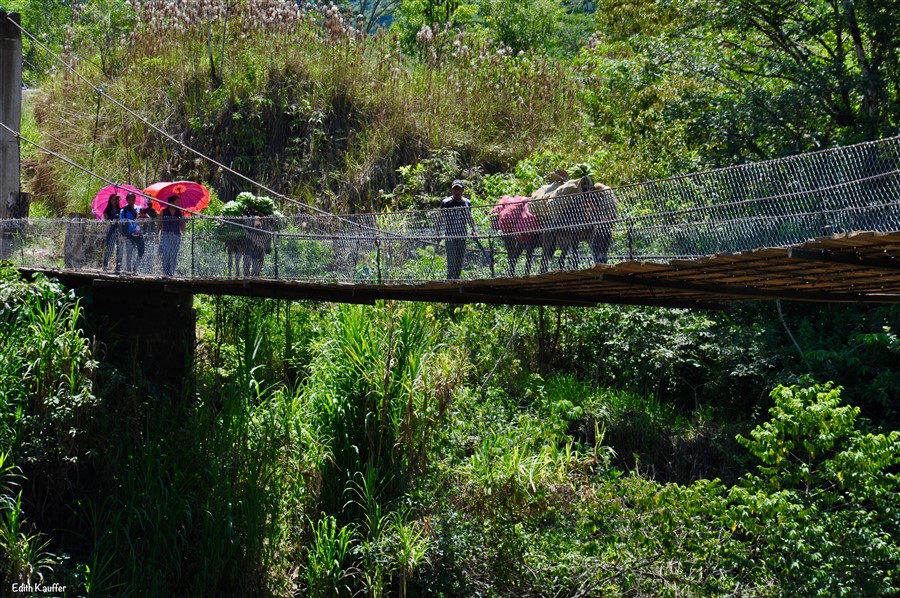 El
puente del río Santo Domingo: camino a México. Puente de Bella Linda,Guatemala, marzo 2015.