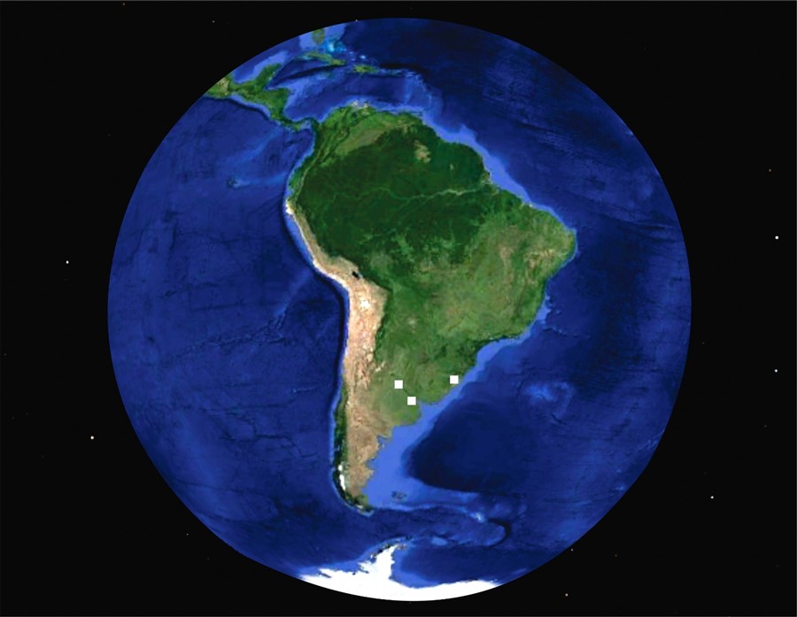 La isla latinoamericana. 