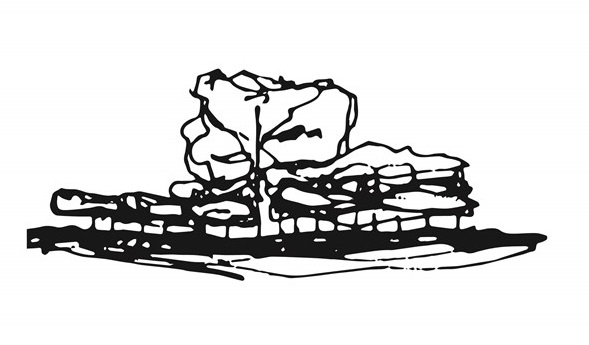 Croquis de algarrobo Ele ‘lpata ’c (Nido de cotorras)