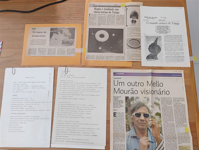 Ejemplo de la aparici&oacute;n de esta informaci&oacute;n en curr&iacute;culos y peri&oacute;dicos.
